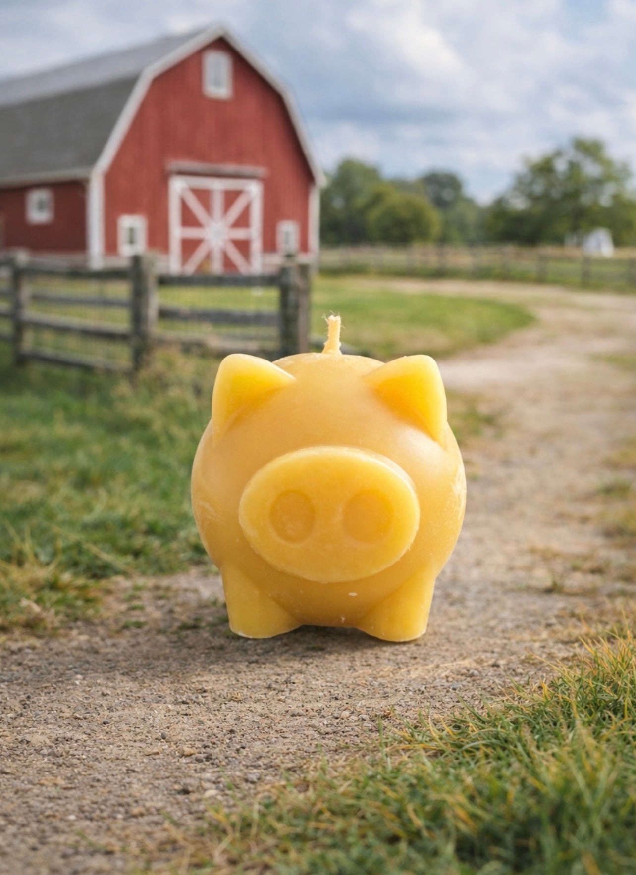 ‘Mr. Piggy’ Pure Beeswax Candle with base