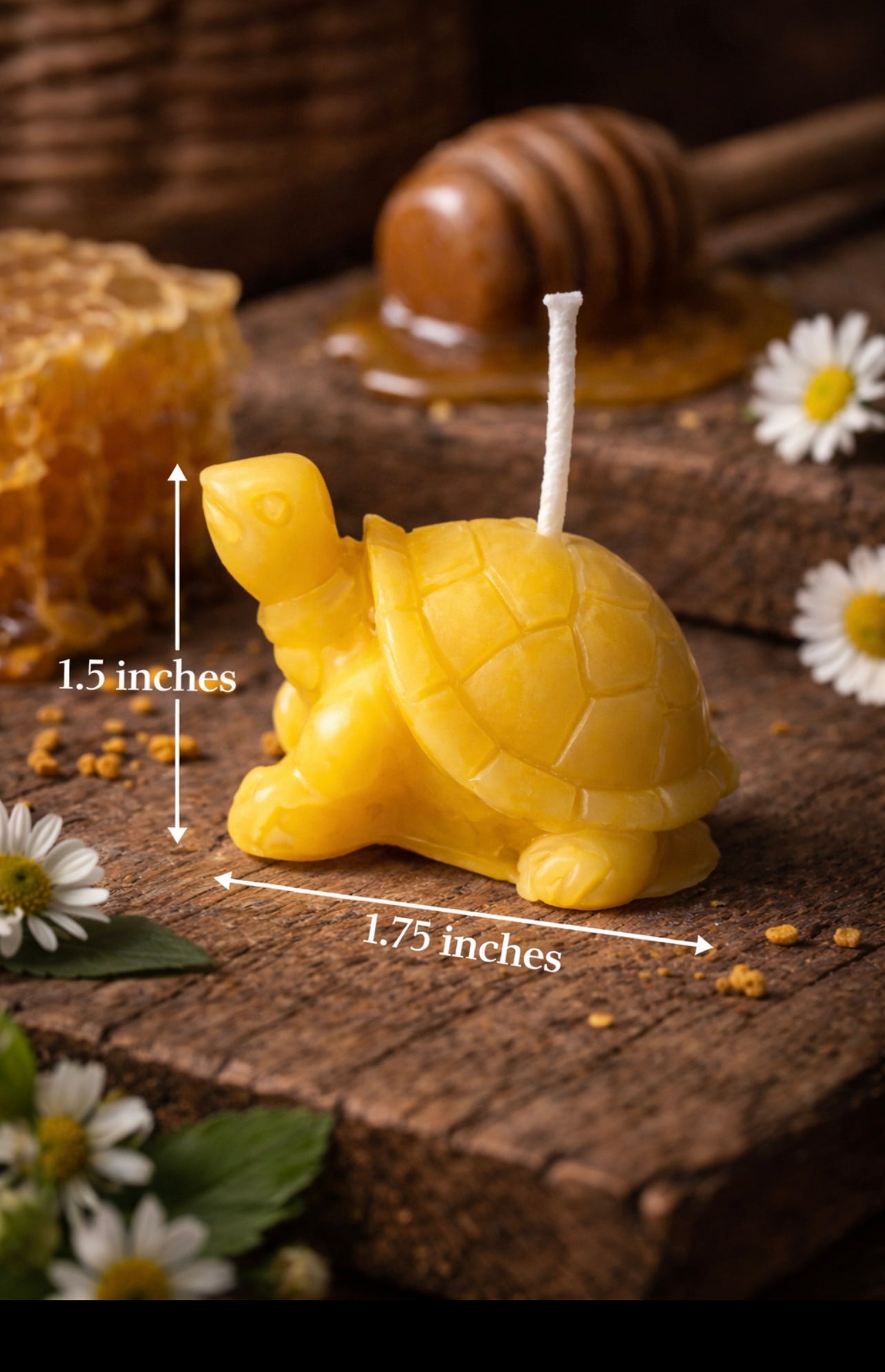 ‘Little Turtle’ Pure Beeswax Candle with base