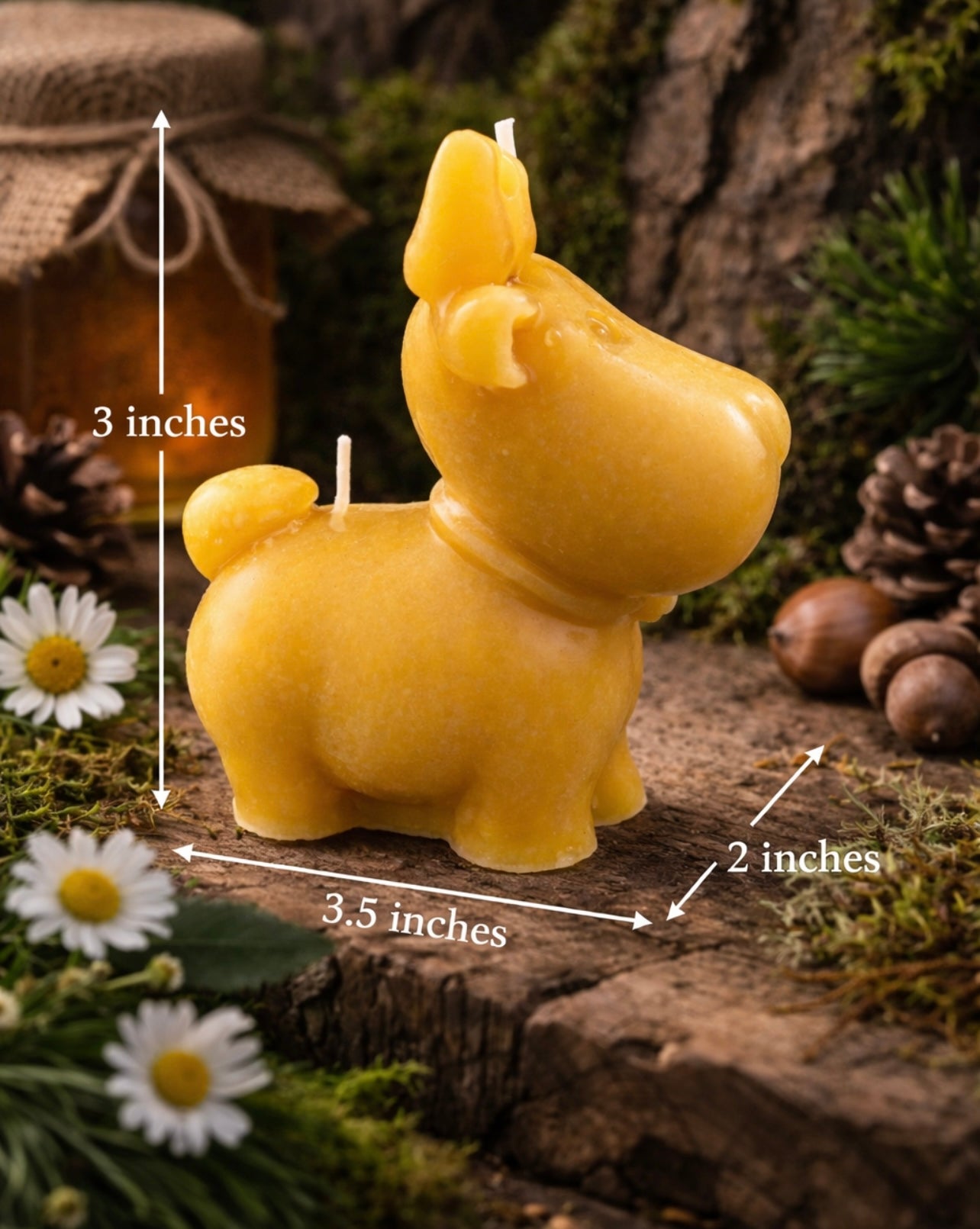 ‘Canadian Moose’ Pure Beeswax Candle with base