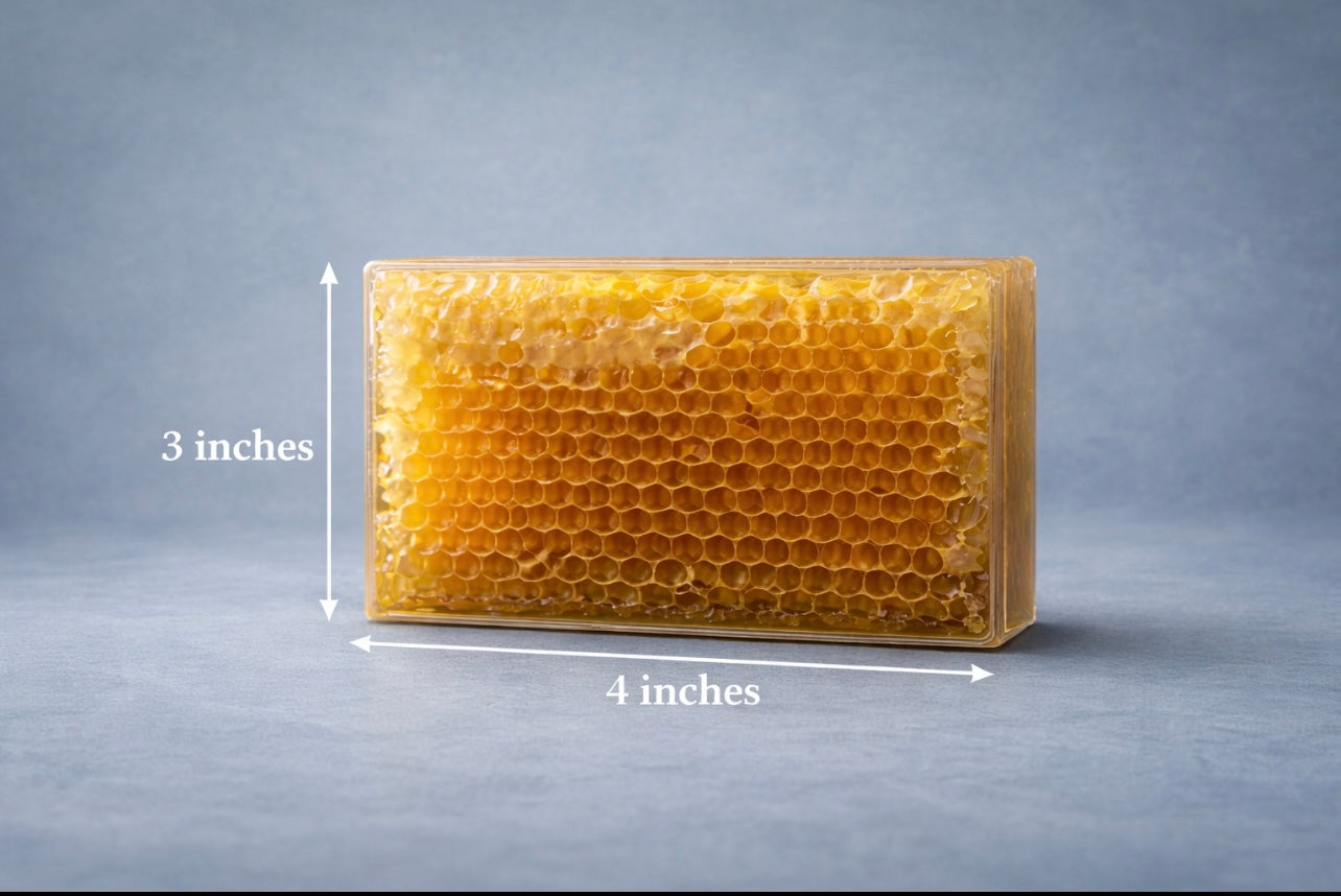 Spring Honey in comb ready in JULY