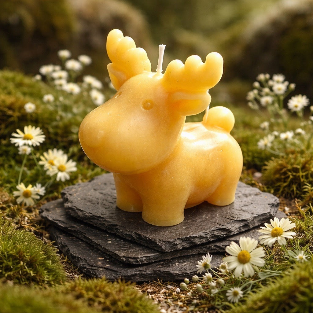 ‘Canadian Moose’ Pure Beeswax Candle with base